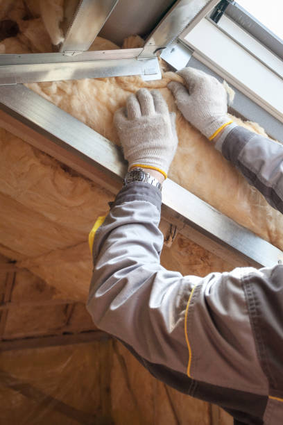 Best Residential Insulation in Sumas, WA