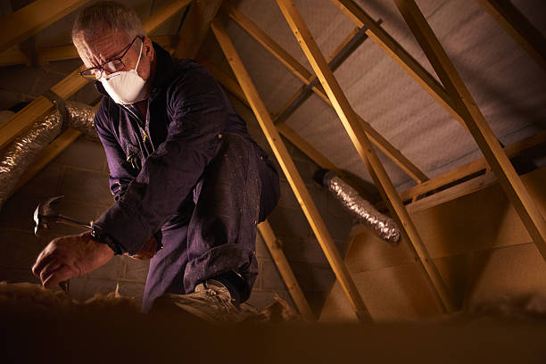 Best Specialty Insulation in Sumas, WA